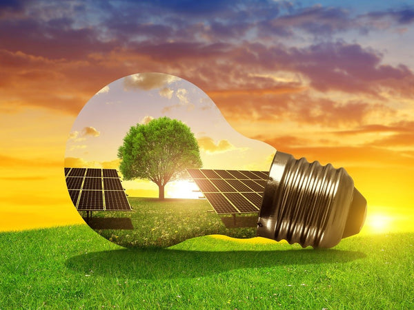 Solaranlage und Klimaschutz als ideale Partner